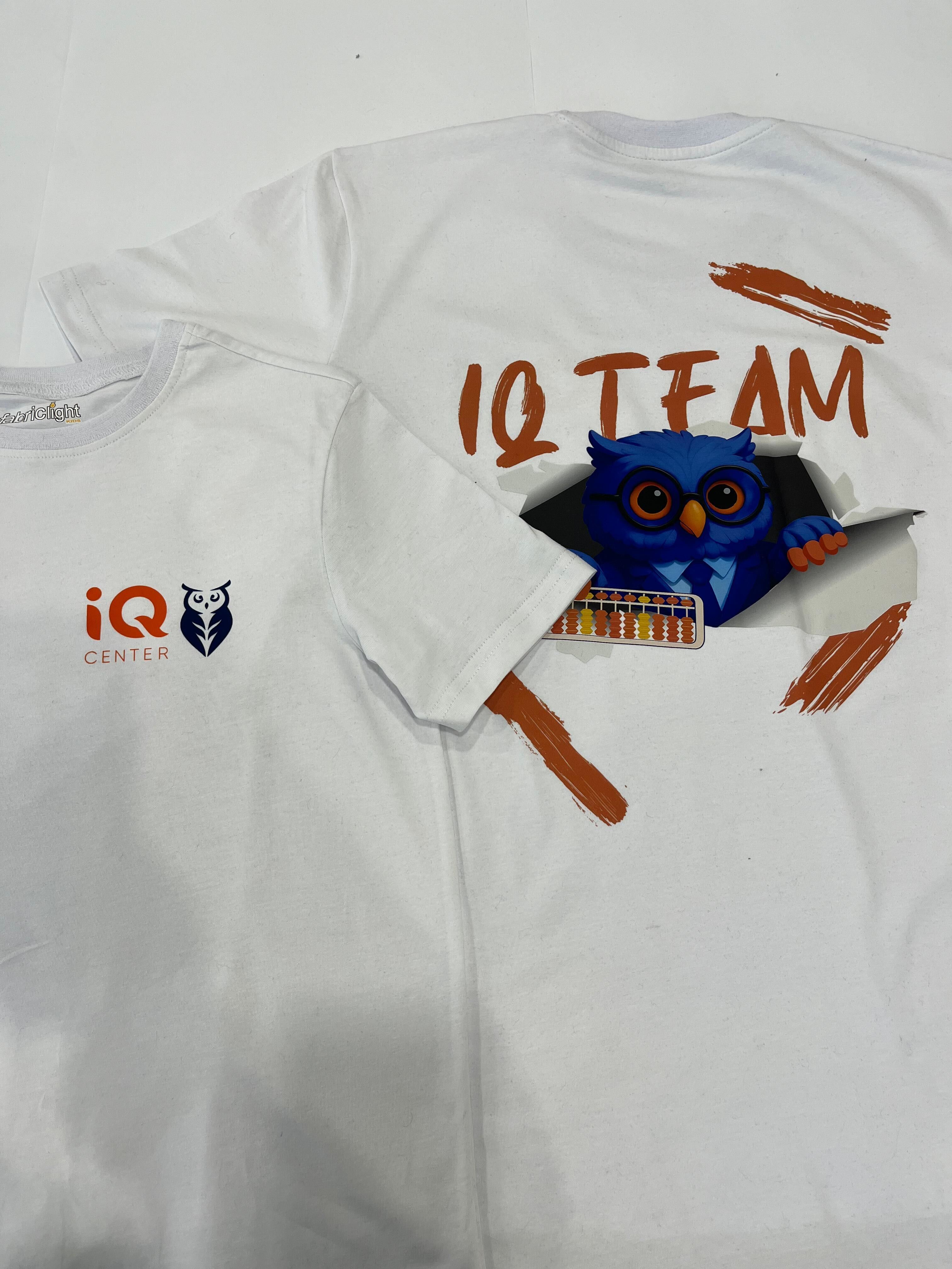 IQ Center project 11